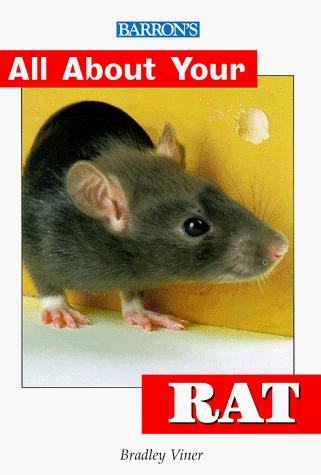 All About Your Rat