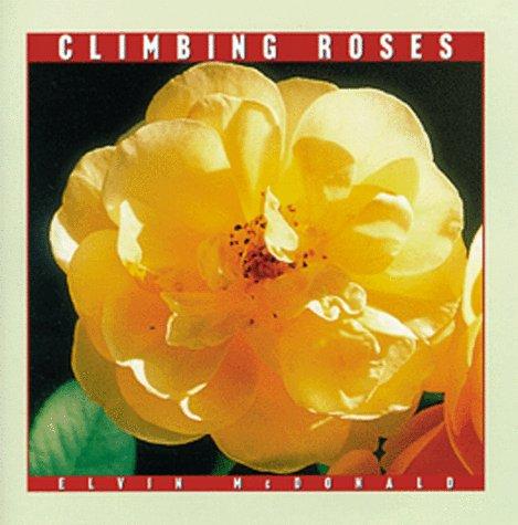 Climbing roses