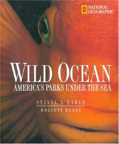 Wild Ocean