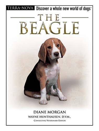 The beagle