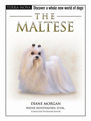 The Maltese