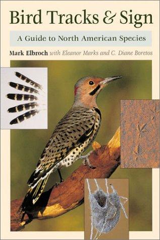 Bird Tracks & Sign