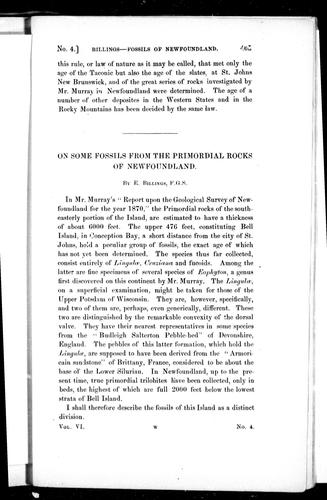 On some fossils from the primordial rocks of Newfoundland