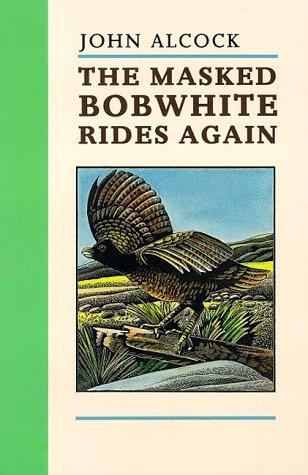 The masked bobwhite rides again