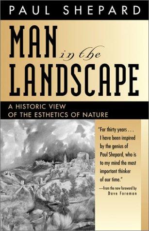 Man in the landscape