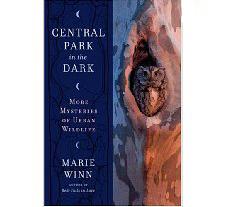 Central Park in the dark
