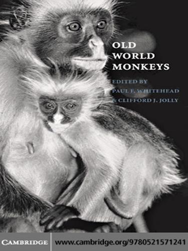 Old World Monkeys