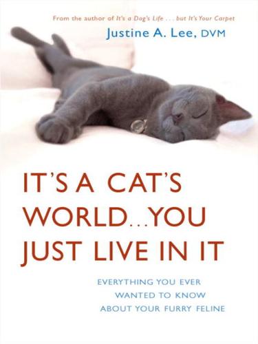 It's a Cat's World... You Just Live in It