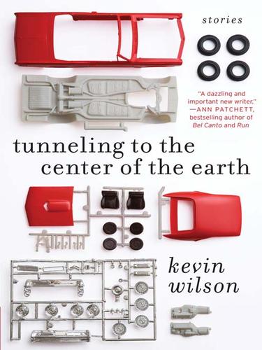 Tunneling to the Center of the Earth