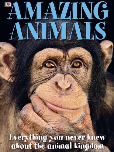 Amazing Animals
