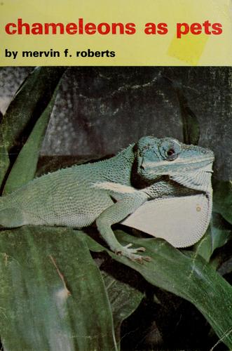 Chameleons as Pets