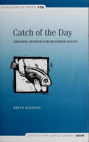 Catch of the Day