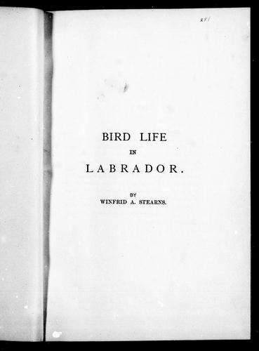 Bird Life in Labrador