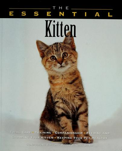 The Essential Kitten