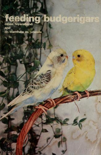 Feeding Budgerigars
