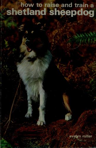 How to Raise and Train a Shetland Sheepdog