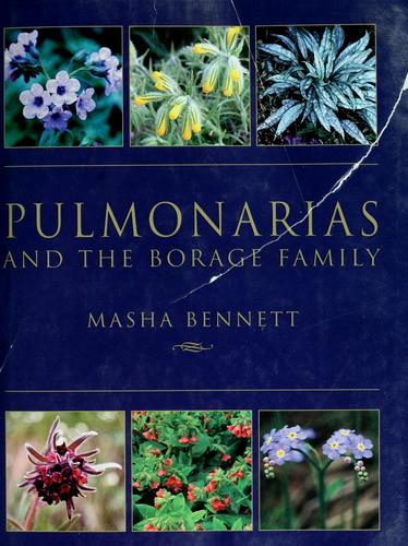 Pulmonarias and the Borage Family