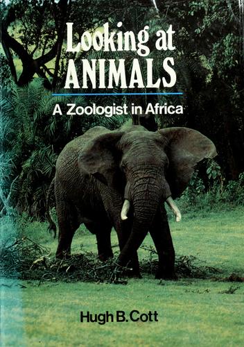 Looking at Animals