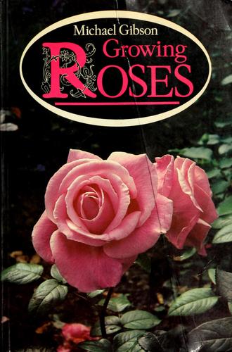 Growing roses