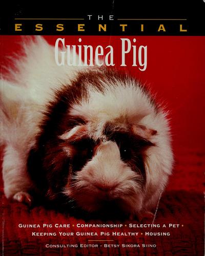 The Essential Guinea Pig