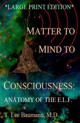 Matter to Mind to Consciousness