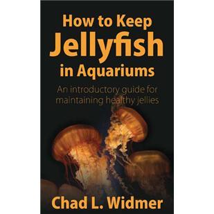 How to Keep Jellyfish in Aquariums