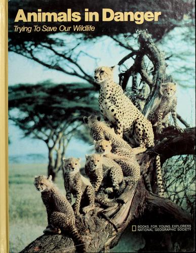 Animals in Danger