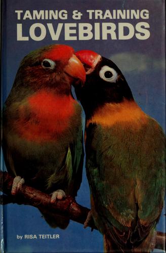 Taming & Training Lovebirds