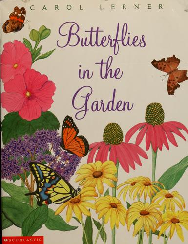 Butterflies in the garden