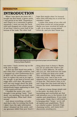 Guide to Owning a Green Anole