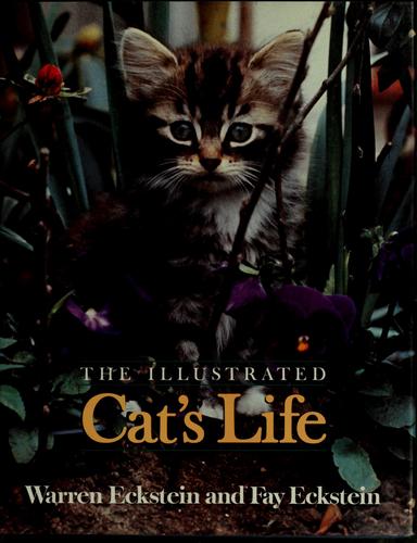 The illustrated cat's life