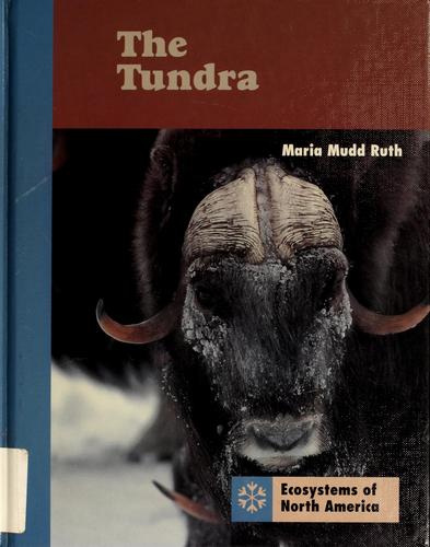 The tundra