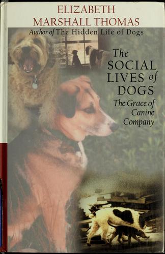 The social lives of dogs