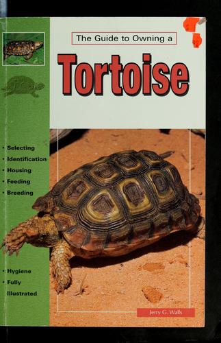 The Guide to Owning a Tortoise