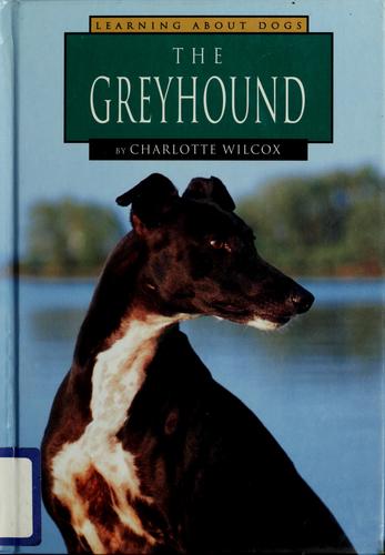 The Greyhound