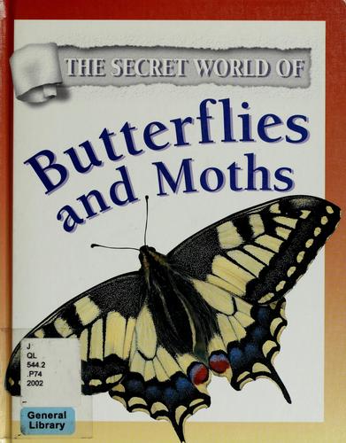Butterflies and moths