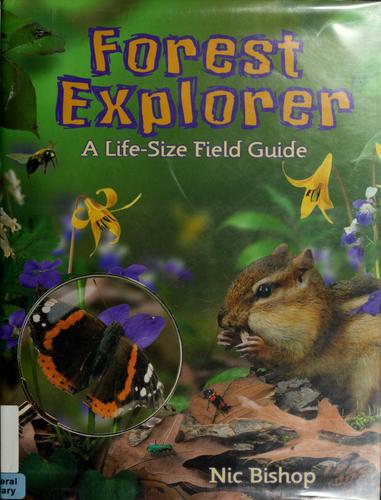 Forest Explorer