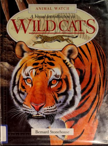 A visual introduction to wild cats