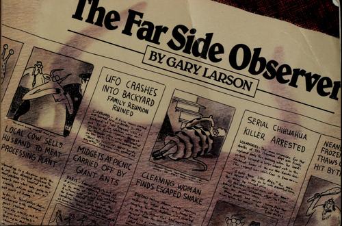 The Far side observer