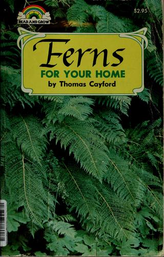 Ferns for Your Home