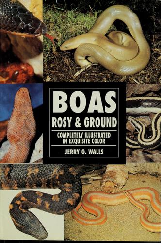 Boas, Rosy and Ground