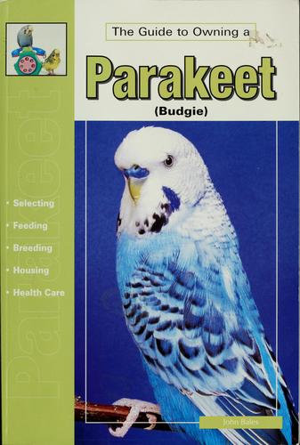 The Guide to Owning a Parakeet