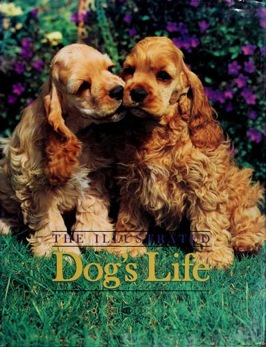 The illustrated dog's life