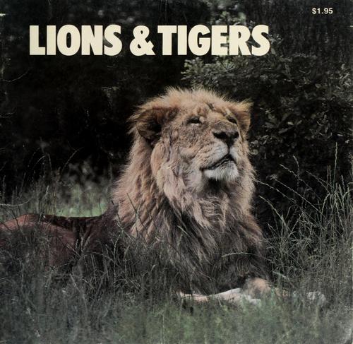 Lions & tigers