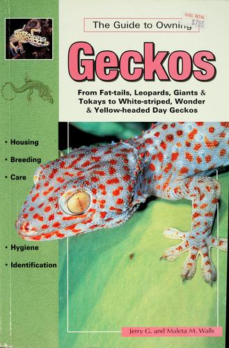 The Guide to Owning Geckos