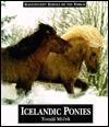 Icelandic ponies