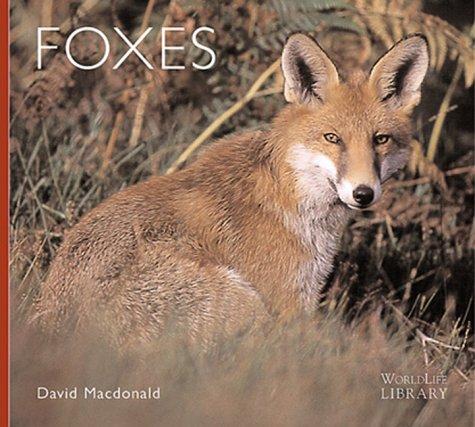 Foxes