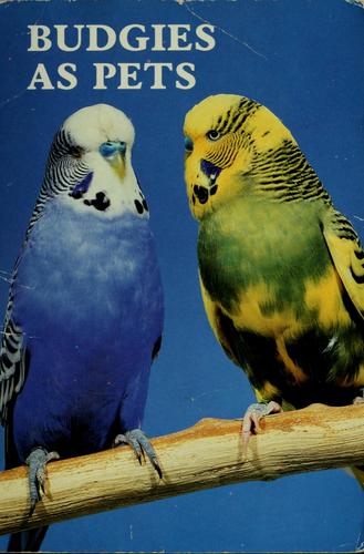 Budgies (Parakeets) as Pets