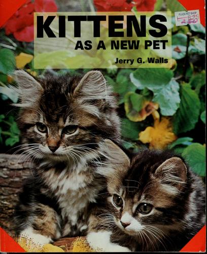 Kittens are a New Pet