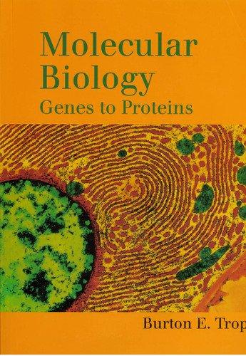 Molecular Biology: Genes to Proteins